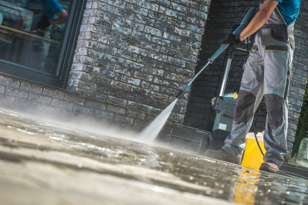 Best Animal Enclosure Cleaning  in Bartlett, TN